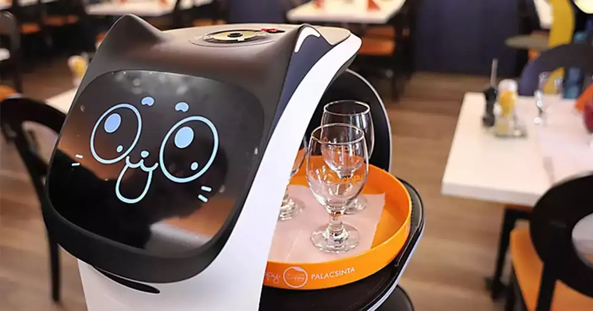 Ozone360 จำหน่ายหุ่นยนต์เสิร์ฟอาหาร หุ่นยนต์ทำความสะอาด 1ปีคืนทุน ลด ...