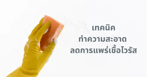 เทคนิคการทำความสะอาด แก้ไรฝุ่น หายอาการภูมิแพ้ด้วยการทำความสะอาด