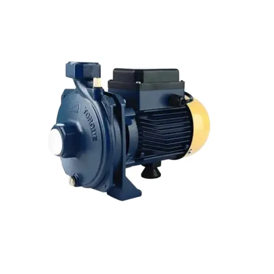 ปั๊มหอยโข่ง TORQUE 1.0 HP 1"x1" TQ-WP-TCP110 ปั๊มหอยโข่ง TORQUE 1.0 HP 1"x1" TQ-WP-TCP110