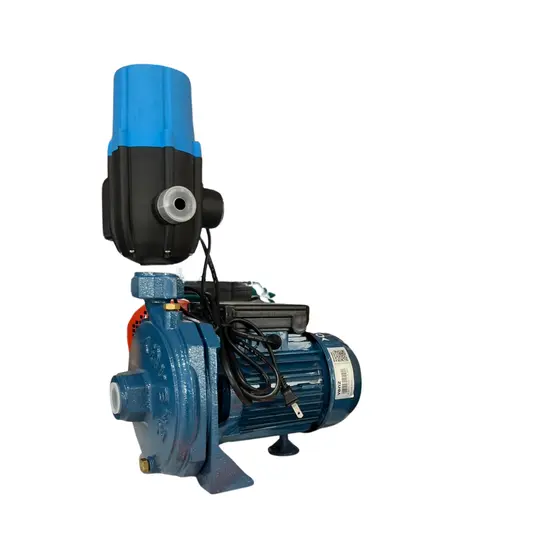 ปั๊มน้ำพัดใหญ่ 1 HP 1" VENZ VM-100 ประกอบสวิทซ์ LUCKY PRO PS-01A  ปั๊มน้ำพัดใหญ่ 1 HP 1" VENZ VM-100 ประกอบสวิทซ์ LUCKY PRO PS-01A