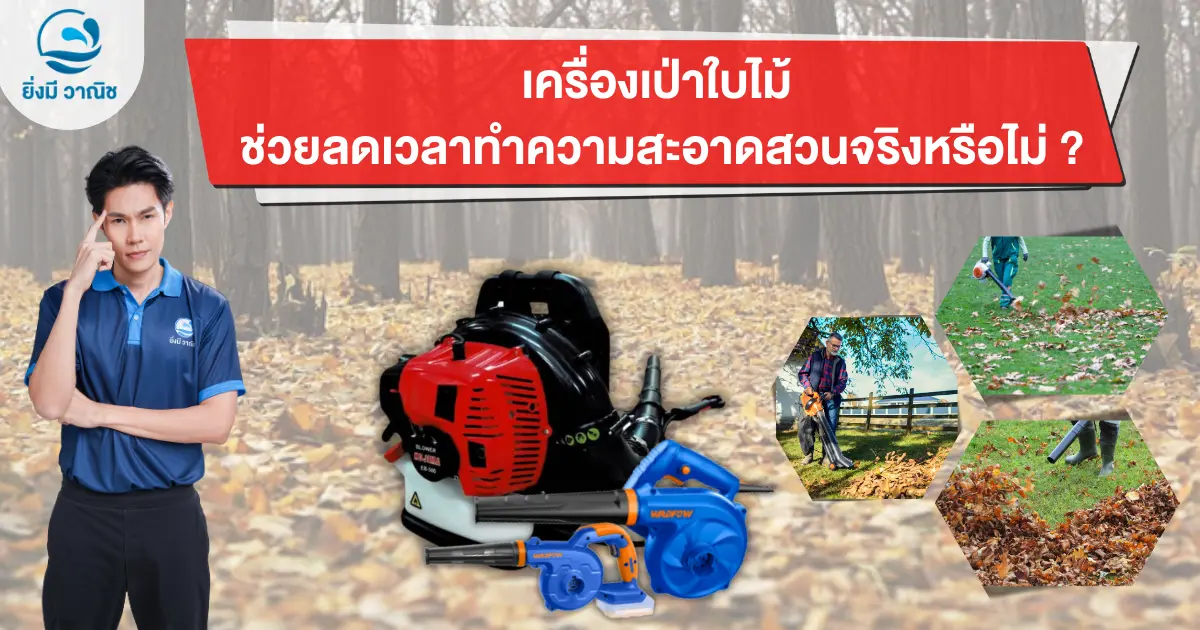 เครื่องเป่าใบไม้ ช่วยลดเวลาทำความสะอาดสวนจริงหรือไม่ ? เครื่องเป่าใบไม้ ช่วยลดเวลาทำความสะอาดสวนจริงหรือไม่ ?