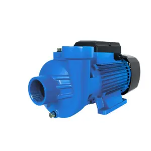 ปั๊มหอยโข่ง MR.PUMP 2"*2" 2.0 HP MM-WP-MDK200