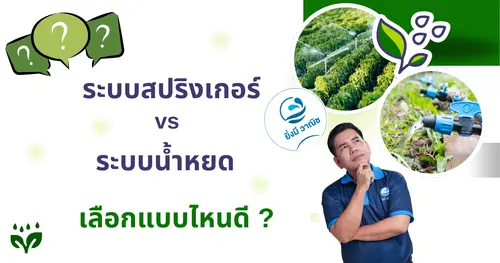 ระบบสปริงเกอร์ vs ระบบน้ำหยด เลือกแบบไหนดี ?
