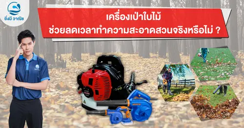 เครื่องเป่าใบไม้ ช่วยลดเวลาทำความสะอาดสวนจริงหรือไม่ ?