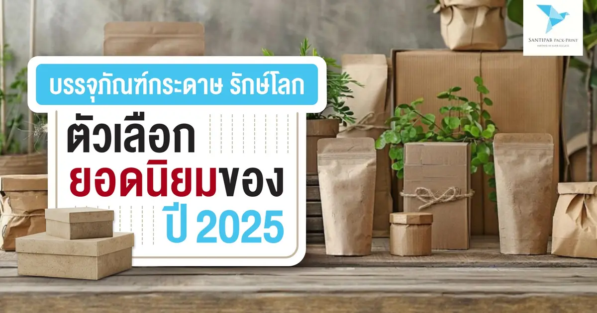 บรรจุภัณฑ์กระดาษ รักษ์โลก ตัวเลือกยอดนิยมของปี 2025