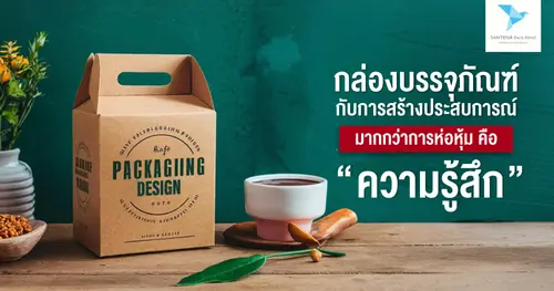 กล่องบรรจุภัณฑ์กับการสร้างประสบการณ์: มากกว่าการห่อหุ้ม คือความรู้สึก
