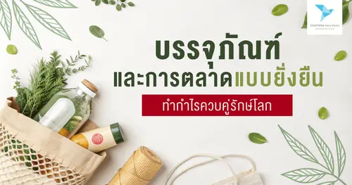 บรรจุภัณฑ์และการตลาดแบบยั่งยืน: ทำกำไรควบคู่รักษ์โลก