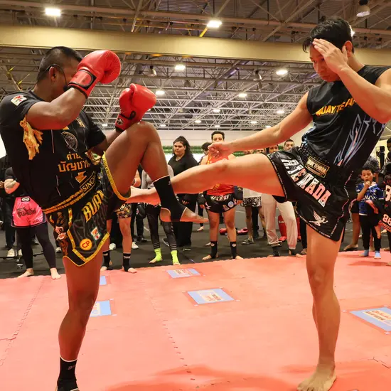 เปิดประตูมิตรภาพไทย-ซาอุฯ ฝึกมวยไทยกับ ไอดอล บัวขาว-ฤทธิ์เทวดา-พญาหงส์