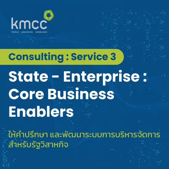 Consulting: Service  3 State - Enterprise: Core Business Enablers