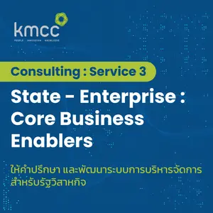 Consulting: Service  3 State - Enterprise: Core Business Enablers