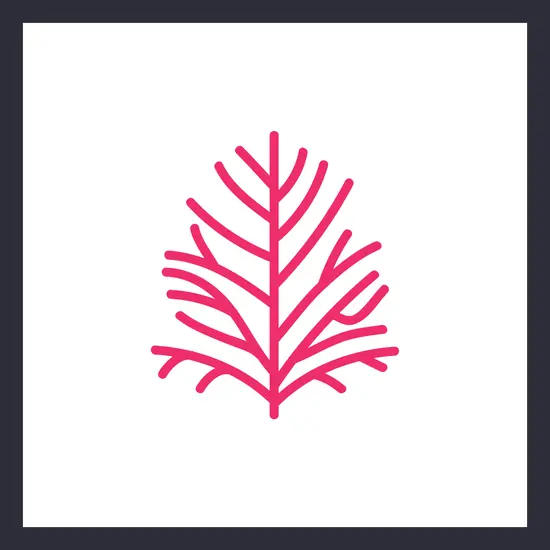 บริษัท มัลเบอร์รี่ ซอฟต์ จำกัด