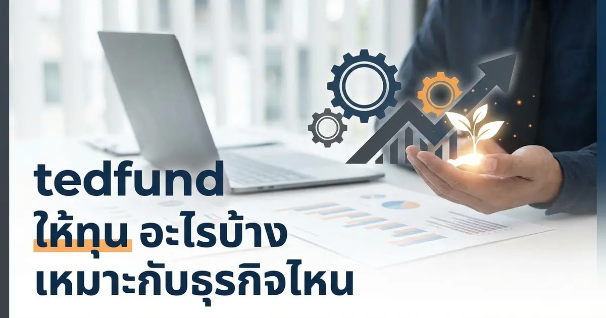 tedfund ให้ทุนอะไรบ้าง เหมาะกับธุรกิจแบบไหนบ้าง