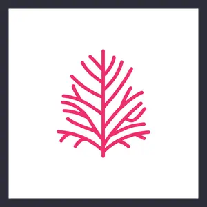 บริษัท มัลเบอร์รี่ ซอฟต์ จำกัด