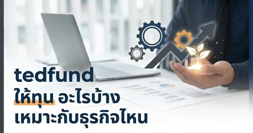tedfund ให้ทุนอะไรบ้าง เหมาะกับธุรกิจแบบไหนบ้าง